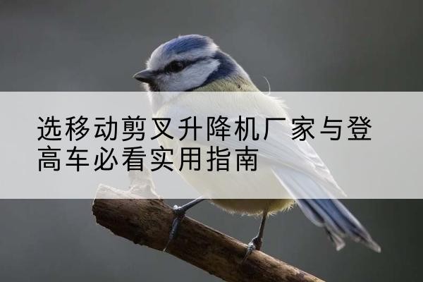 乐都电动升降机厂家-选移动剪叉升降机厂家与登高车必看实用指南