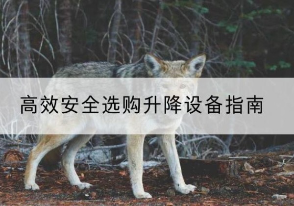 乐都升降货梯厂家推荐-*安全选购升降设备指南
