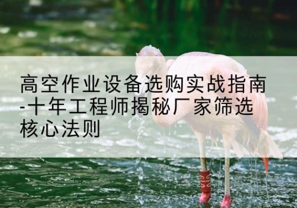 乐都剪叉式升降机厂家-高空作业设备选购实战指南-十年工程师揭秘厂家筛选核心法则